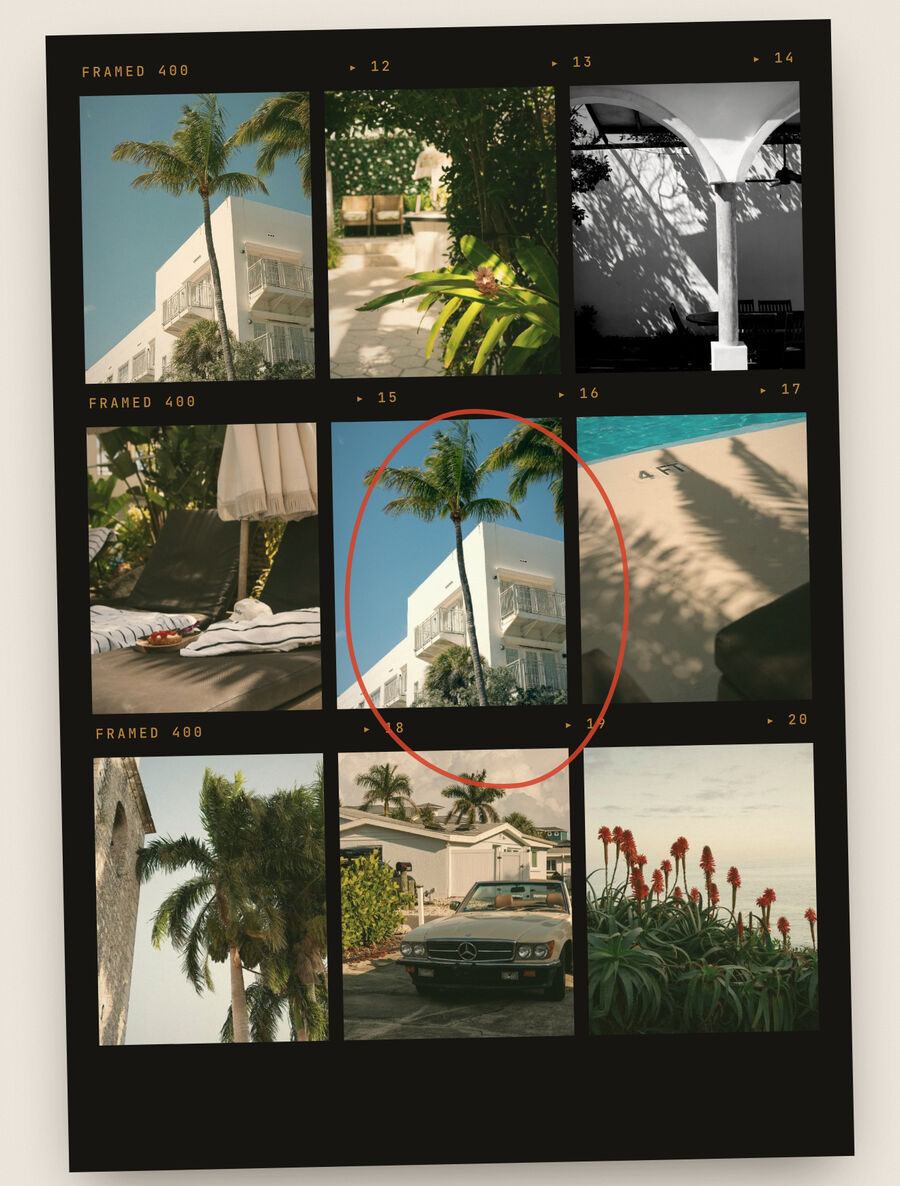 A contact sheet of photos shot with Framed