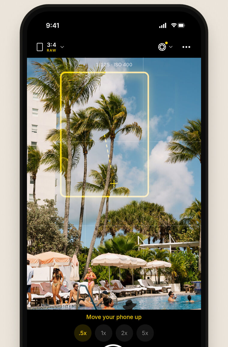 The Framed camera marking a shot of palm trees