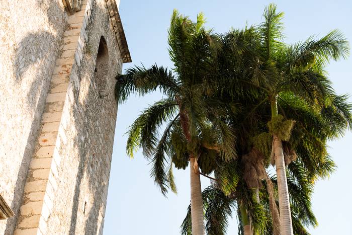 Palm trees and architecture