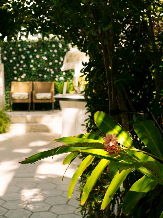 Tropical garden